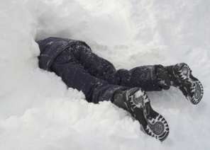 icedip-small.jpg