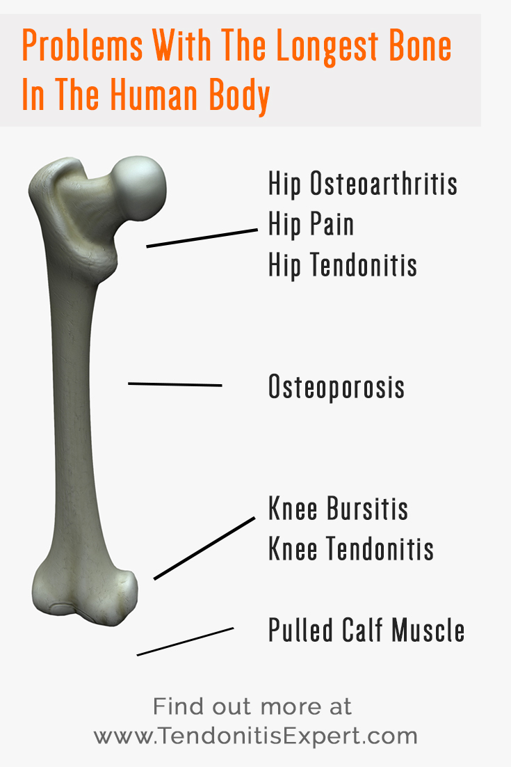 What is the longest bone in the human body?
What pain problems are attached to it?

Find out at www.TendonitisExpert.com/longest-bone-in-human-body.html